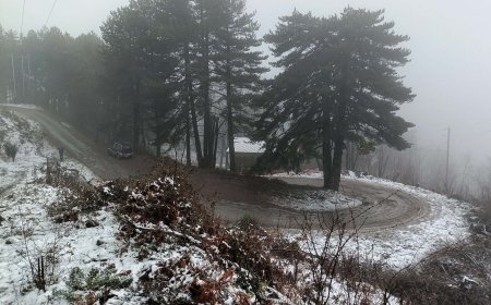 Παγετός, χιόνια στα ορεινά και νεφώσεις με τοπικές βροχές τα χαρακτηριστικά του καιρού – Πότε αλλάζει το σκηνικό