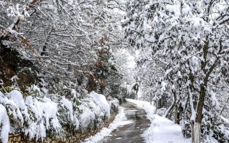Βόρεια Ελλάδα: Παγετός και χαμηλές θερμοκρασίες έως -16°C – Τι ισχύει για τα σχολεία και τις αλυσίδες