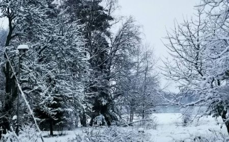 Ελβετία: Σκιέρ σώθηκε από θαύμα μετά από χιονοστιβάδα
