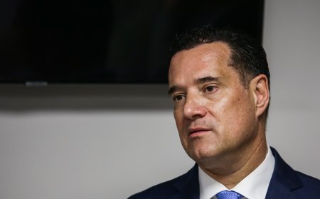 Γεωργιάδης για μπλόκα: Αηδία, παρανομία και φασισμός