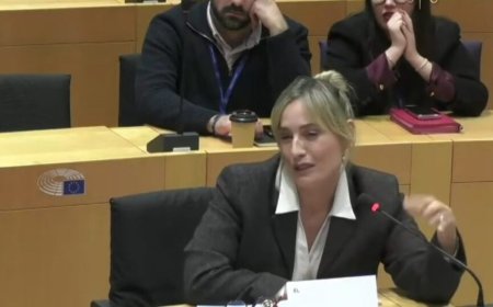 Η Ελεονώρα Μελέτη με λυγμούς από το Ευρωκοινοβούλιο: «Υπήρξα θύμα κακοποίησης»