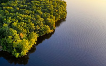 Φυλή στον Αμαζόνιο: Μια σπάνια ματιά σε αυτούς που ζουν έξω από τον σύγχρονο κόσμο