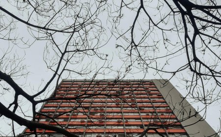 ΓΔ ΔΕΟΣ – ΑΑΔΕ: Πώς θα λειτουργεί η νέα υπηρεσία