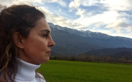 Το «Πυθαγόρειο Θεώρημα» ως οδηγός για τον Πρωτογενή Τομέα του 2026