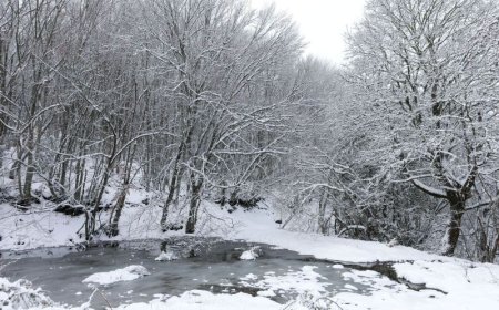 Καιρός κακοκαιρία: Έντονες Χιονοπτώσεις σε Βόρεια και Κεντρική Ελλάδα