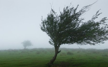 Αιτωλοακαρνανία: Η κακοκαιρία ξήλωσε κεραμίδια σχολείου
