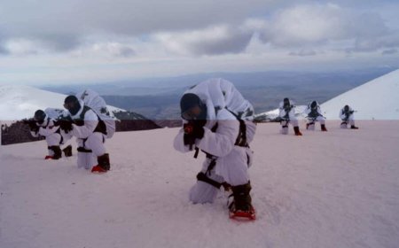 Δανία, Γροιλανδία και Τραμπ: ΝΑΤΟ, ειρωνεία και η σύγκριση με το Αιγαίο