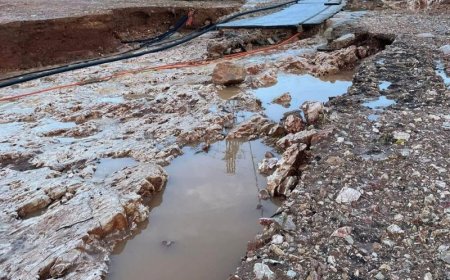 Βάρη κακοκαιρία: Γυναίκα σκαρφάλωσε σε δέντρο για να σωθεί από τα ορμητικά νερά