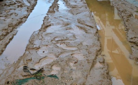 Έκτακτη χρηματοδότηση για τον Δήμο Γλυφάδας μετά τις καταστροφές της κακοκαιρίας