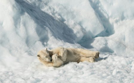 Τι έμαθε η Ευρώπη από την κρίση της Γροιλανδίας