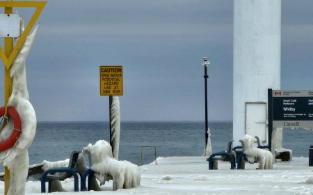 Έφτιαξε παγωτό στο χιόνι: Μητέρα στον Καναδά έγινε viral