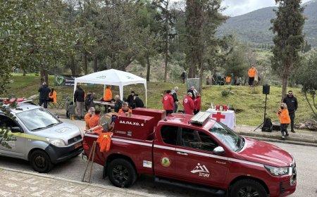 Δεντροφύτευση στου Παπάγου: Δήμος και εθελοντές φύτεψαν 700 δέντρα