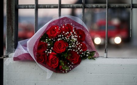 Βιολάντα δυστύχημα: Συγκλονίζουν οι μαρτυρίες των διασωθέντων για την τραγωδία