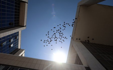 Μάτι δίκη: Να απορριφθούν οι αιτήσεις για μείωση ποινών πρότεινε εισαγγελέας