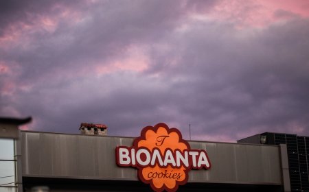 Βιολάντα συλλήψεις: Ελεύθεροι ο ιδιοκτήτης και τα δύο στελέχη