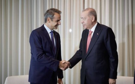 Μητσοτάκης – Ερντογάν: Οριστικοποιήθηκε η συνάντηση έως τα μέσα Φεβρουαρίου