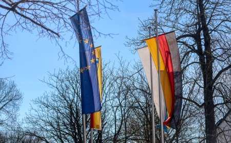 Διαφάνεια στο Ευρωκοινοβούλιο: Οι 14 που «ξέχασαν» να δηλώσουν εισοδήματα