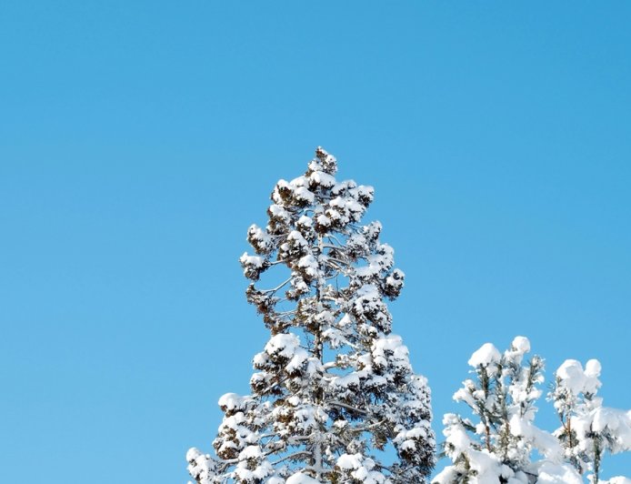Λήμνος χιόνια: Σπάνια δορυφορική εικόνα από το νησί