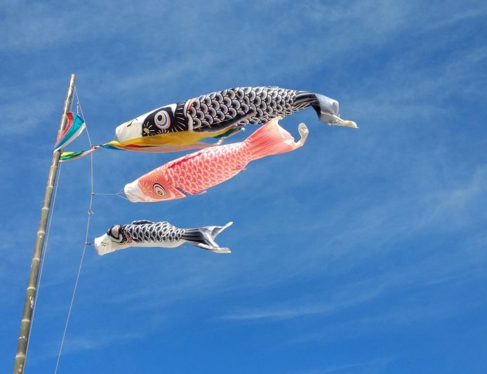 Ο καιρός τον Ιανουάριο του 2026: Αισθητή άνοδος της θερμοκρασίας