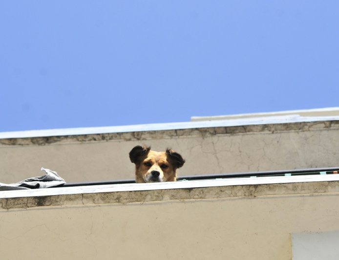 Ανακαίνιση σπιτιού με επιδότηση 2026: Ποιοι δικαιούνται έως €36.000