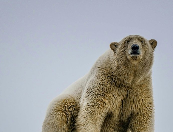 Γιατί ο Τραμπ θέλει τη Γροιλανδία: Και τελικά, μπορεί να την πάρει;