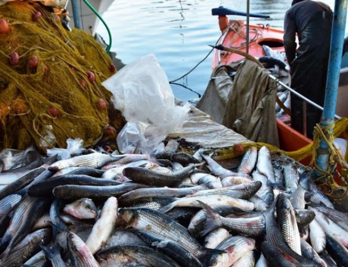 Χρηματοδότηση για την προώθηση προϊόντων αλιείας και υδατοκαλλιέργειας εξασφάλισε η Περιφέρεια Αν. Μακεδονίας – Θράκης