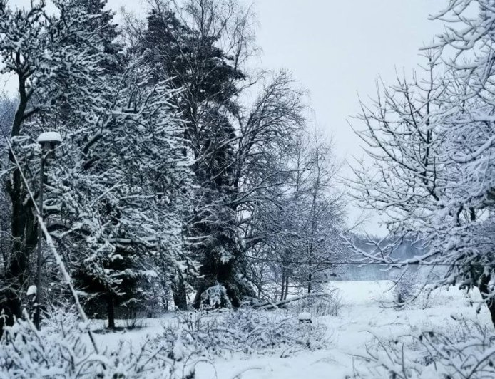 Ελβετία: Σκιέρ σώθηκε από θαύμα μετά από χιονοστιβάδα