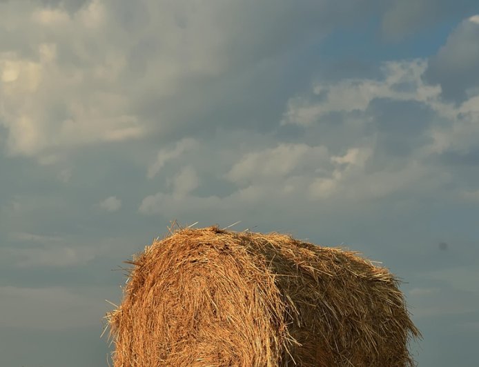 ΟΠΕΚΕΠΕ ποινές: Πρώτη εφαρμογή ποινικής διαπραγμάτευσης σε υπόθεση παράνομων επιδοτήσεων