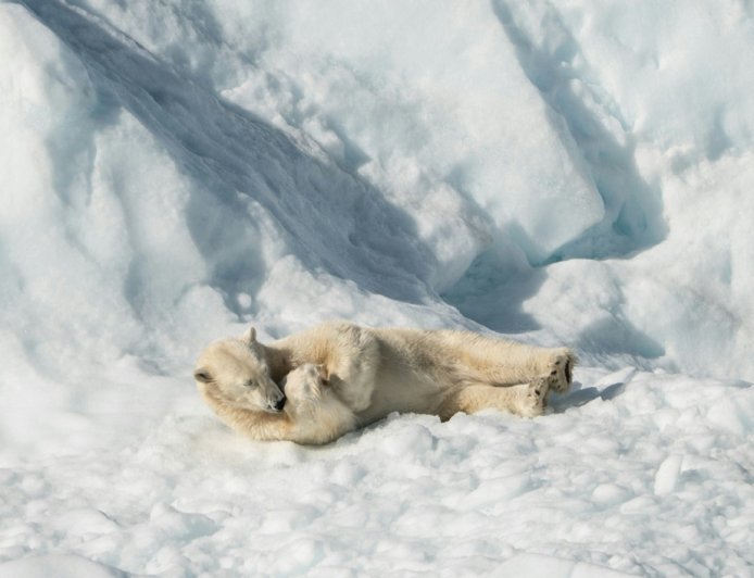 Τι έμαθε η Ευρώπη από την κρίση της Γροιλανδίας
