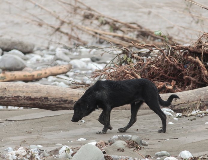 Κακοκαιρία Ηράκλειο Κρήτης: Ποτάμια οι δρόμοι στο χωριό Αγία Βαρβάρα
