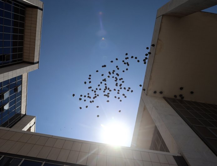 Μάτι δίκη: Να απορριφθούν οι αιτήσεις για μείωση ποινών πρότεινε εισαγγελέας