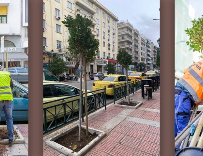 Φύτευση νέων δέντρων στο Πασαλιμάνι – Συνεχιζόμενες δράσεις πρασίνου από τον Δήμο Πειραιά