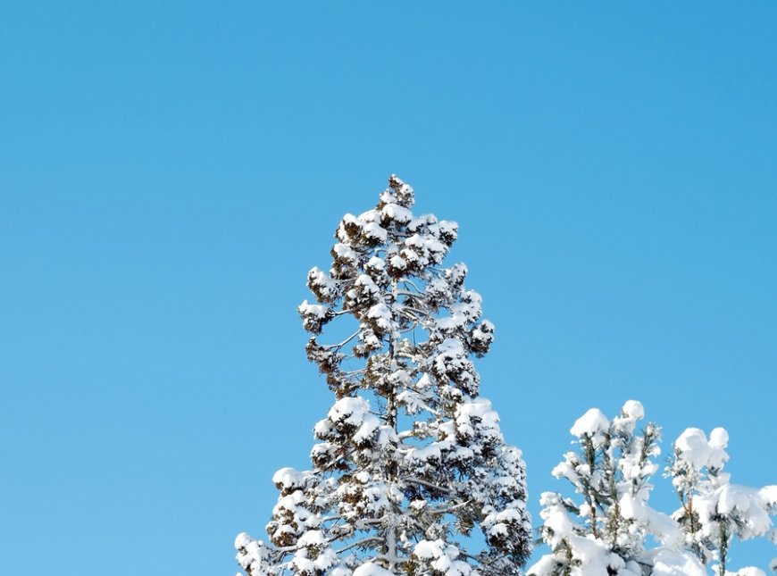 Λήμνος χιόνια: Σπάνια δορυφορική εικόνα από το νησί