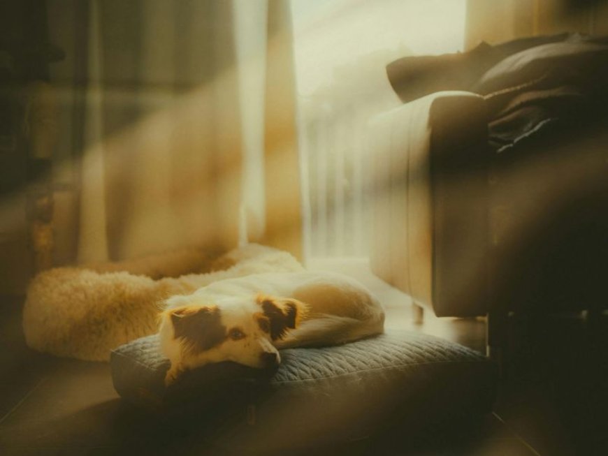 Προκαταβολή επιδόματος θέρμανσης 2025: Πότε πληρώνεται η επόμενη δόση