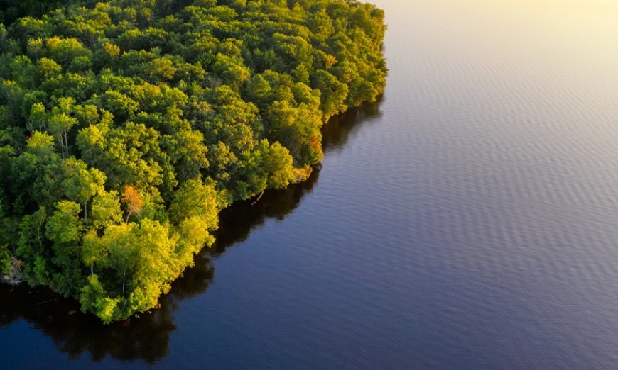 Τα τέσσερα αδέλφια που νίκησαν τον Αμαζόνιο και η σκοτεινή συνέχεια