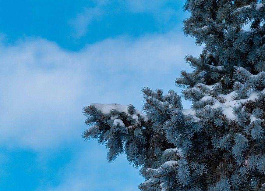 Χιόνια και… στη θάλασσα: Έρχεται… “πολική φωτοβολίδα”, η πρόγνωση Μαρουσάκη