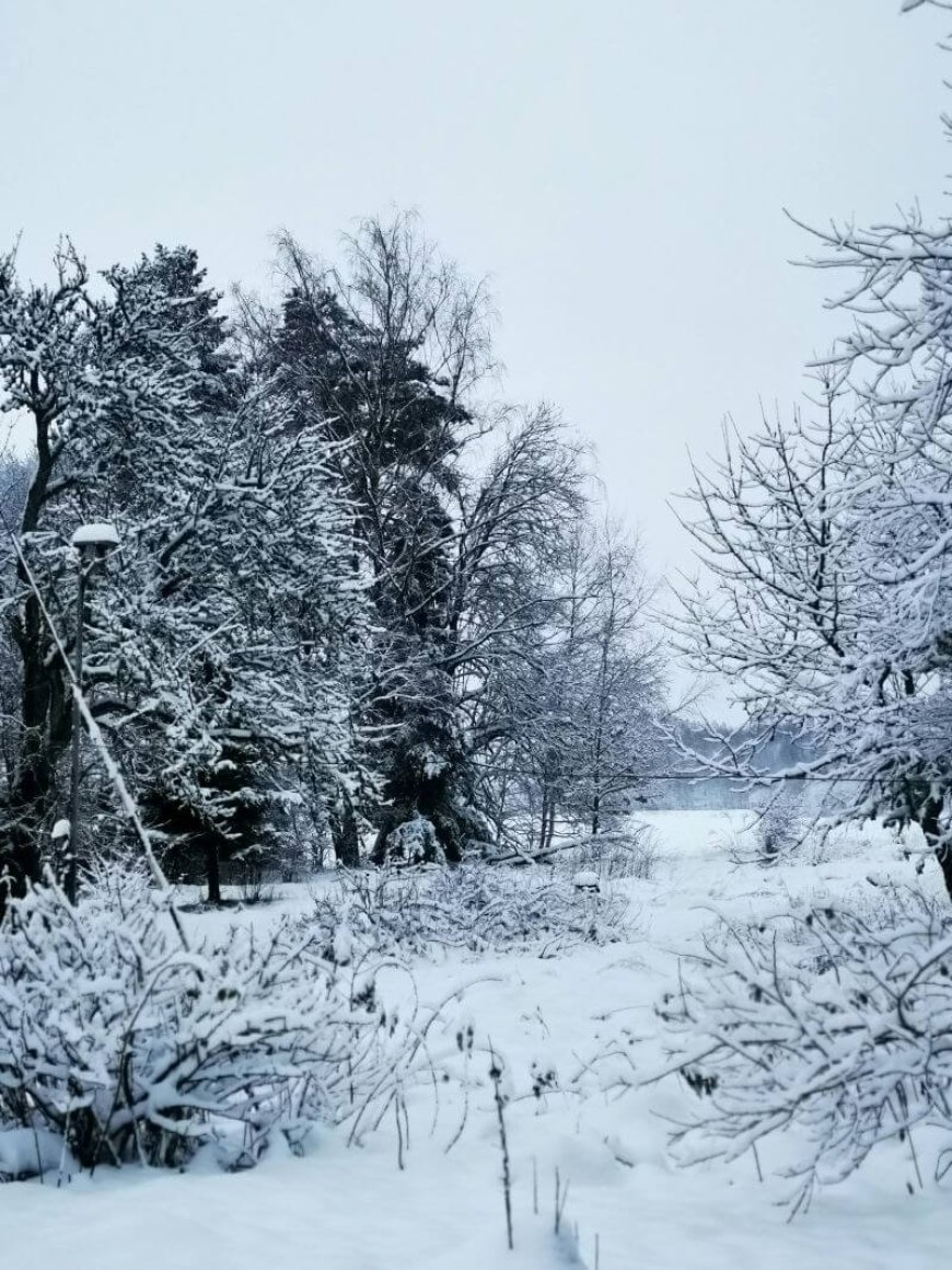 Ελβετία: Σκιέρ σώθηκε από θαύμα μετά από χιονοστιβάδα