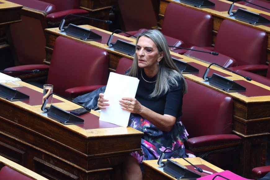 Κυρανάκης – Πέρκα: «Μην τσιρίζετε, εδώ είναι Βουλή, δεν είναι η κουζίνα σας»