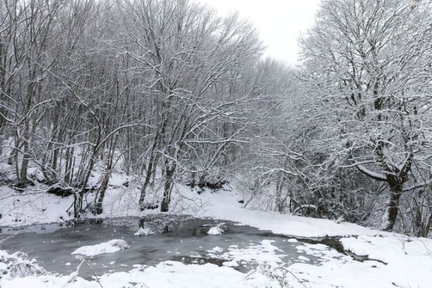 Καιρός κακοκαιρία: Έντονες Χιονοπτώσεις σε Βόρεια και Κεντρική Ελλάδα