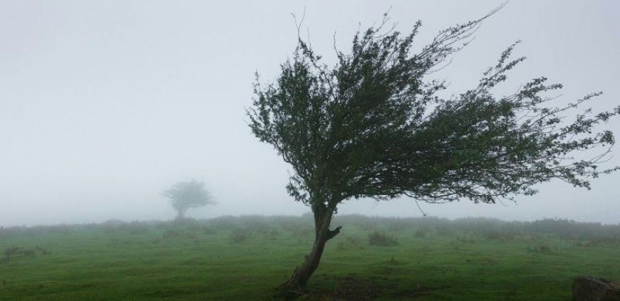 Αιτωλοακαρνανία: Η κακοκαιρία ξήλωσε κεραμίδια σχολείου