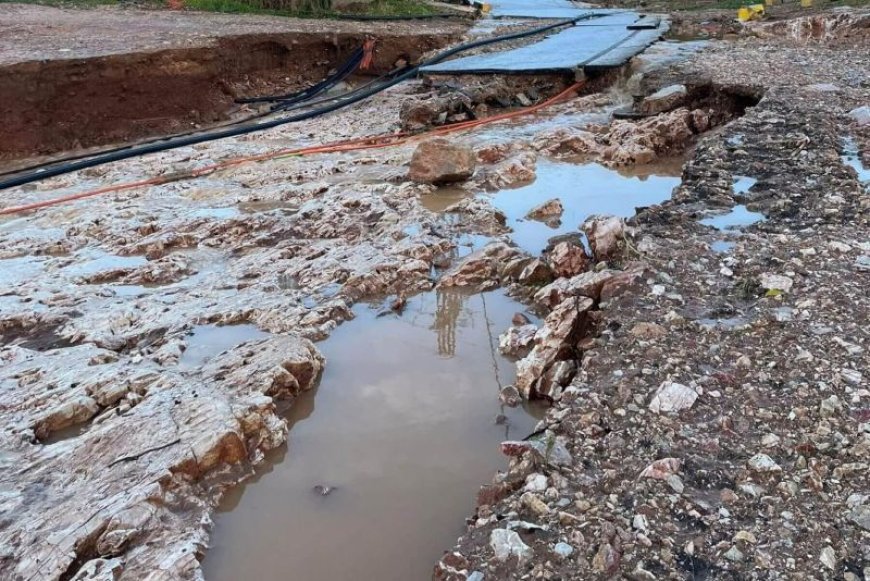 Βάρη κακοκαιρία: Γυναίκα σκαρφάλωσε σε δέντρο για να σωθεί από τα ορμητικά νερά