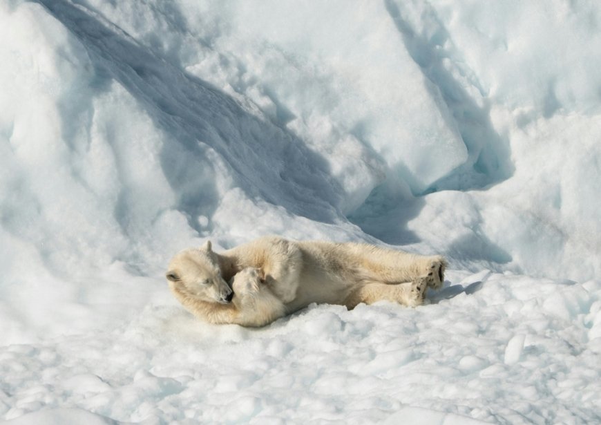 Τι έμαθε η Ευρώπη από την κρίση της Γροιλανδίας