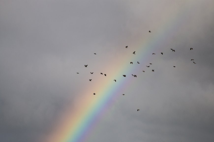 Χαλάει ο καιρός: Έκτακτο δελτίο επιδείνωσης με ισχυρές καταιγίδες σε 7 περιοχές