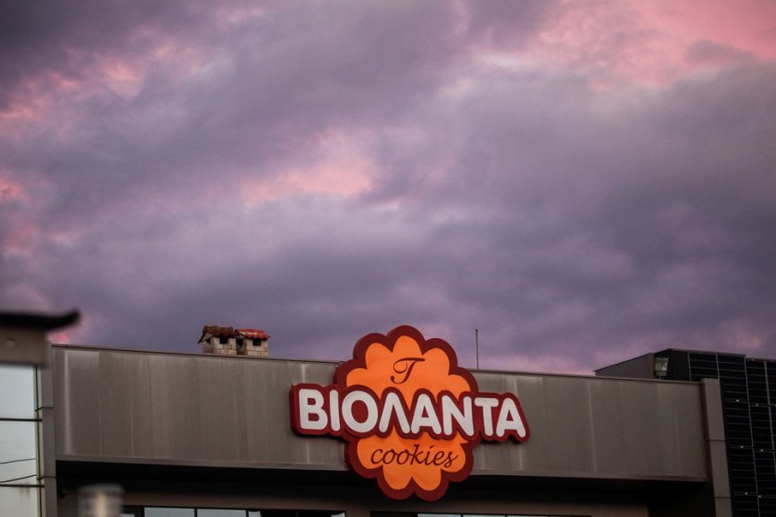 Βιολάντα συλλήψεις: Ελεύθεροι ο ιδιοκτήτης και τα δύο στελέχη