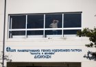 Παιδίατρος Ζάκυνθος: ΕΔΕ για την απουσία της ενώ νοσηλευόταν βρέφος με μηνιγγίτιδα