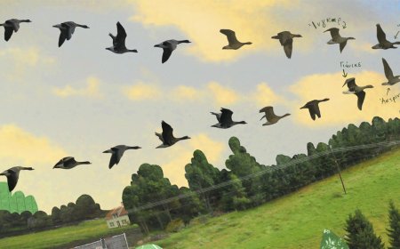 Το “παραμυθένιο” ταξίδι της νανόχηνας: Εκπαιδευτική δράση στη Δημοτική Βιβλιοθήκη Κομοτηνής