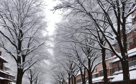 Ιαπωνία χιόνια: Η κακοκαιρία στοίχισε τη ζωή σε τουλάχιστον 30 ανθρώπους
