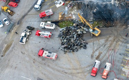 Βιολάντα εξελίξεις: Έφοδος της ΔΑΕΕ στο σπίτι του Τζιωρτζιώτη