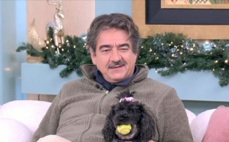 Γιάννης Δρακόπουλος: «Μας έχουν πει ότι το «Σόι σου» θα συνεχίσει και του χρόνου»