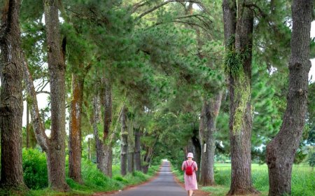Παγκόσμια Ημέρα Καρκίνου 2026: Αγώνας, ελπίδα και υποστήριξη
